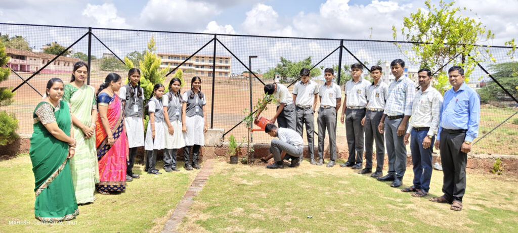 Tree-Plantation